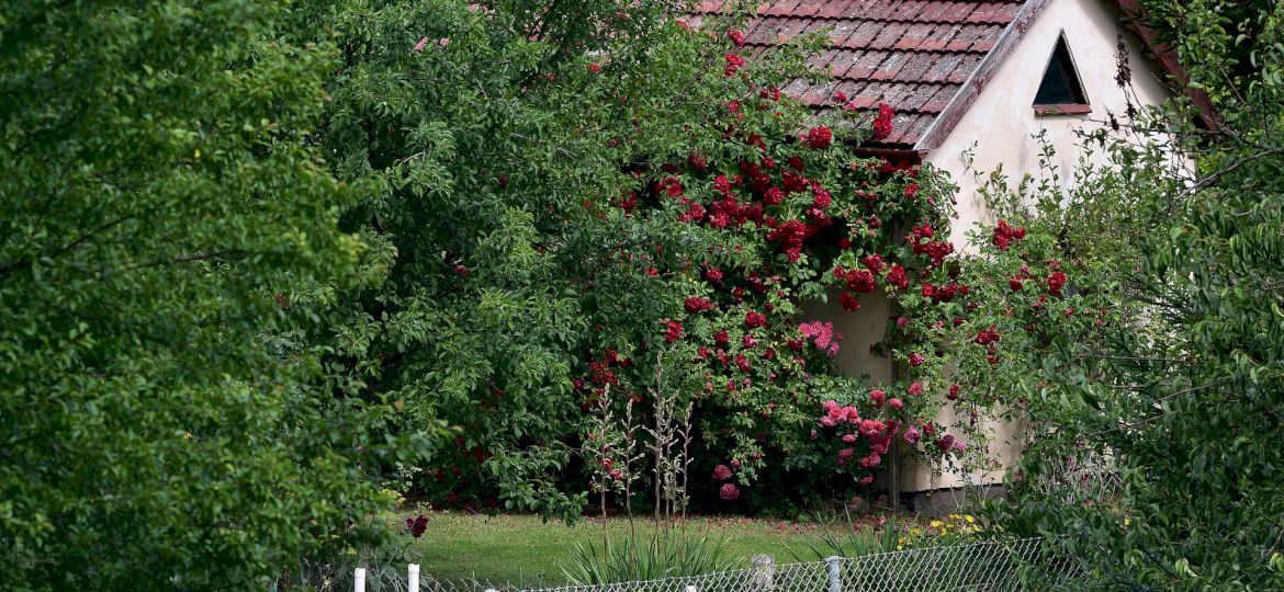 <strong>PRAWNIK ODPOWIADA.</strong> Małe domy bez pozwolenia. Co nowe przepisy m&oacute;wią o nieruchomościach rekreacyjnych?