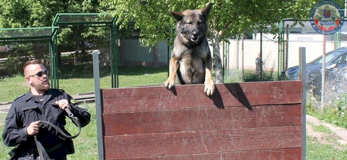 <strong>NIETYPOWA AKCJA.</strong> Policyjny pies wytropił złodziei łodzi