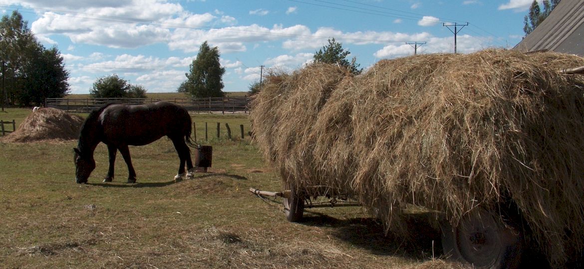 <strong>PRAWNIK ODPOWIADA.</strong> Kiedy można wypowiedzieć umowę dzierżawy?
