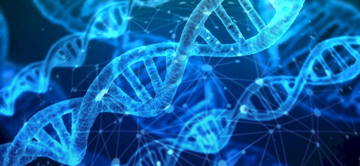 <strong>PRAWNIK ODPOWIADA.</strong> Czy test DNA jest możliwy bez zgody osoby badanej? <strong>[MOBILNE STUDIO]</strong>