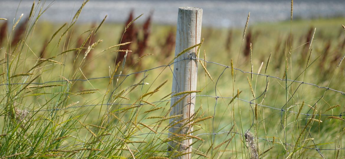 <strong>PRAWNIK ODPOWIADA.</strong> Kto ponosi koszty rozgraniczenia działek?