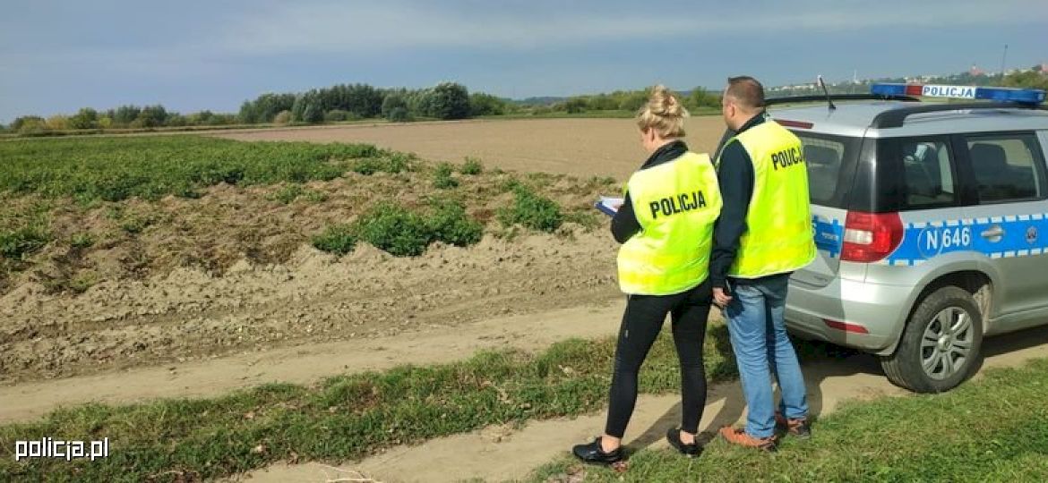 <strong>NIETYPOWA KRADZIEŻ.</strong> Łupem złodziei padły niemal dwie tony... ziemniak&oacute;w