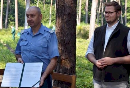 Ważny element resocjalizacji. Więźniowie będą mogli pracować w Lasach Państwowych