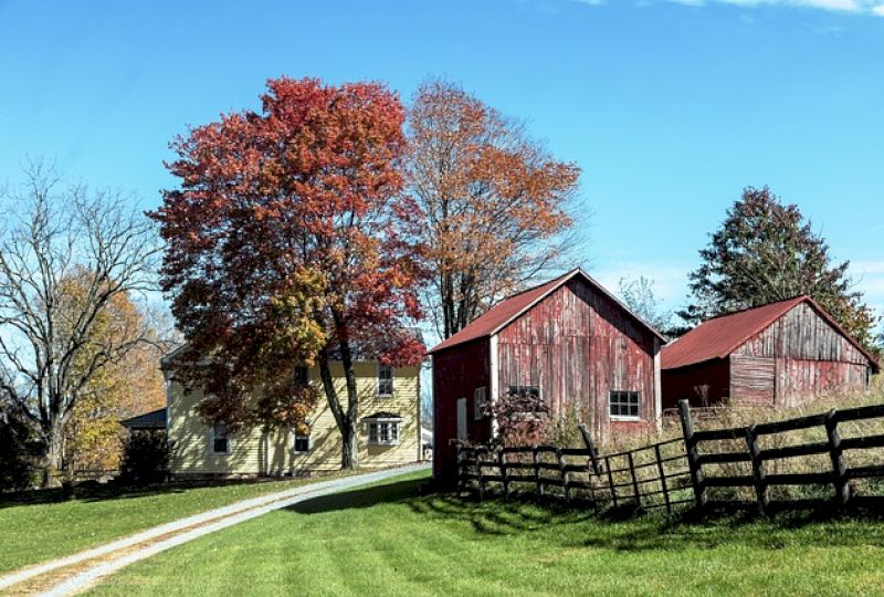 <strong>PRAWNIK ODPOWIADA.</strong> Służebność drogi koniecznej. Co m&oacute;wi prawo? <strong>[MOBILNE STUDIO]</strong>